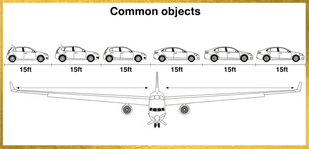 Long is 20ft Compared to Other Measurements