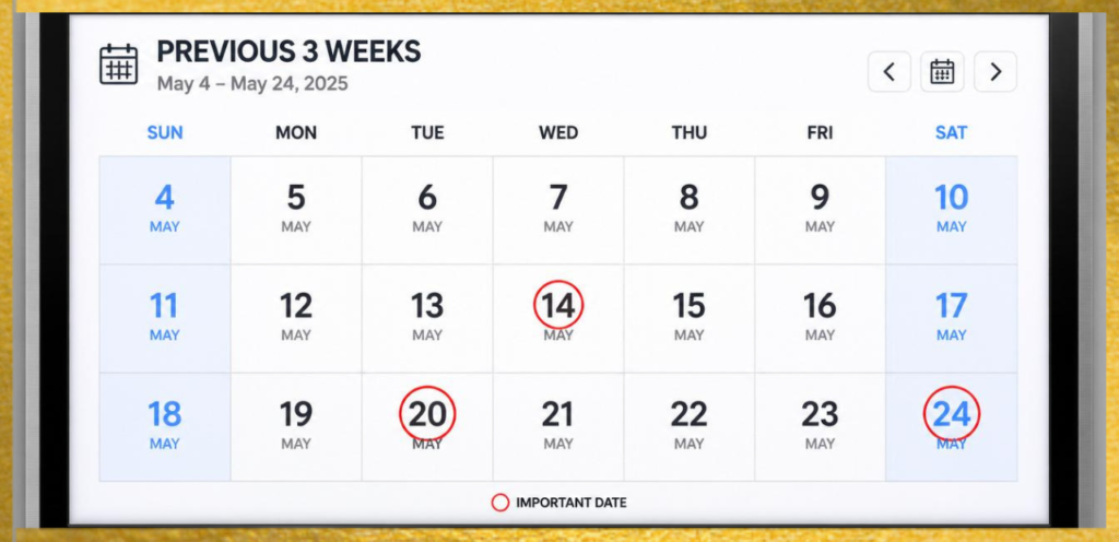 3 Weeks Calendar View